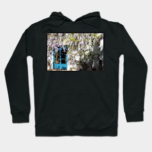 Serenity Hoodie